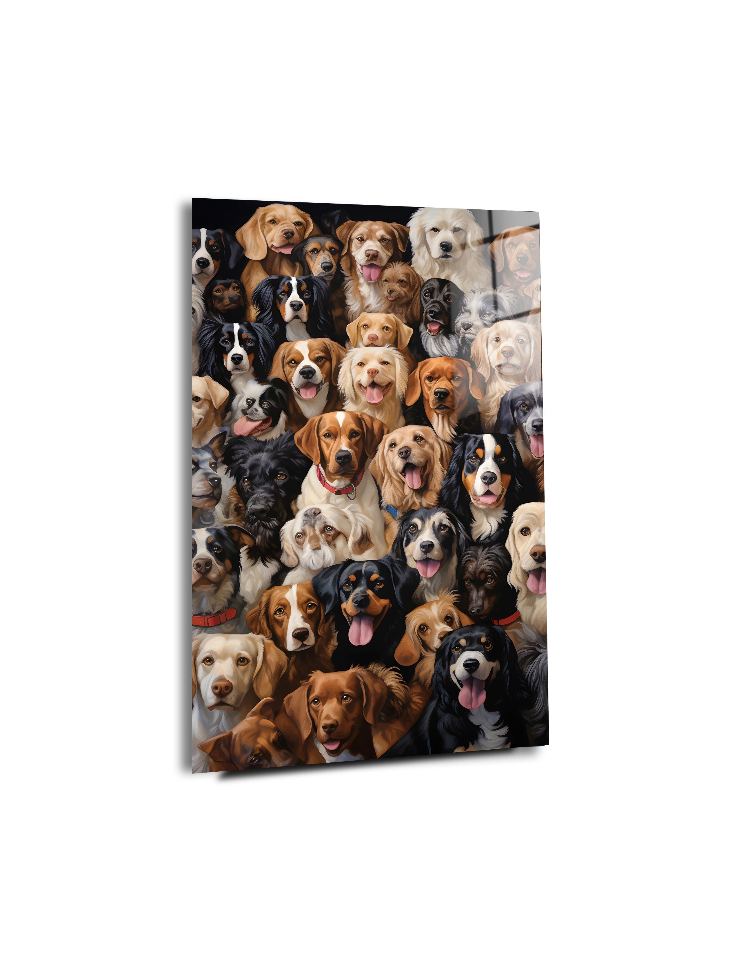Portrait Different Dog Breeds