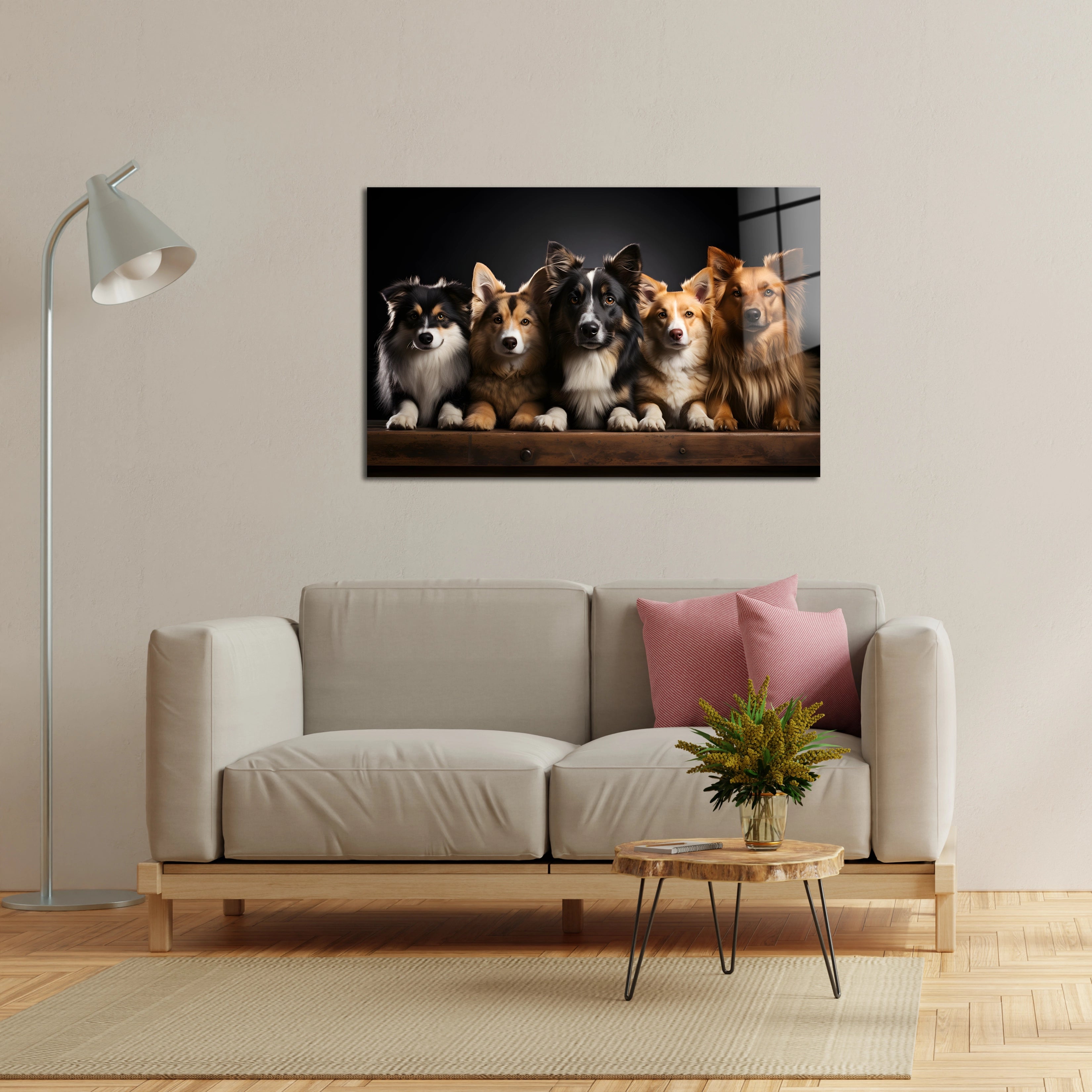 Different Kinds Dogs Photography