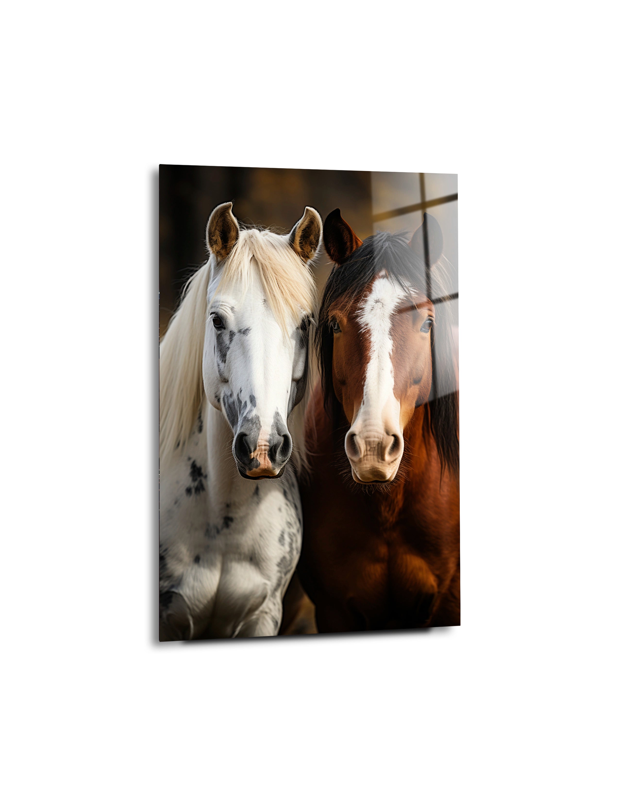 Horses Picture