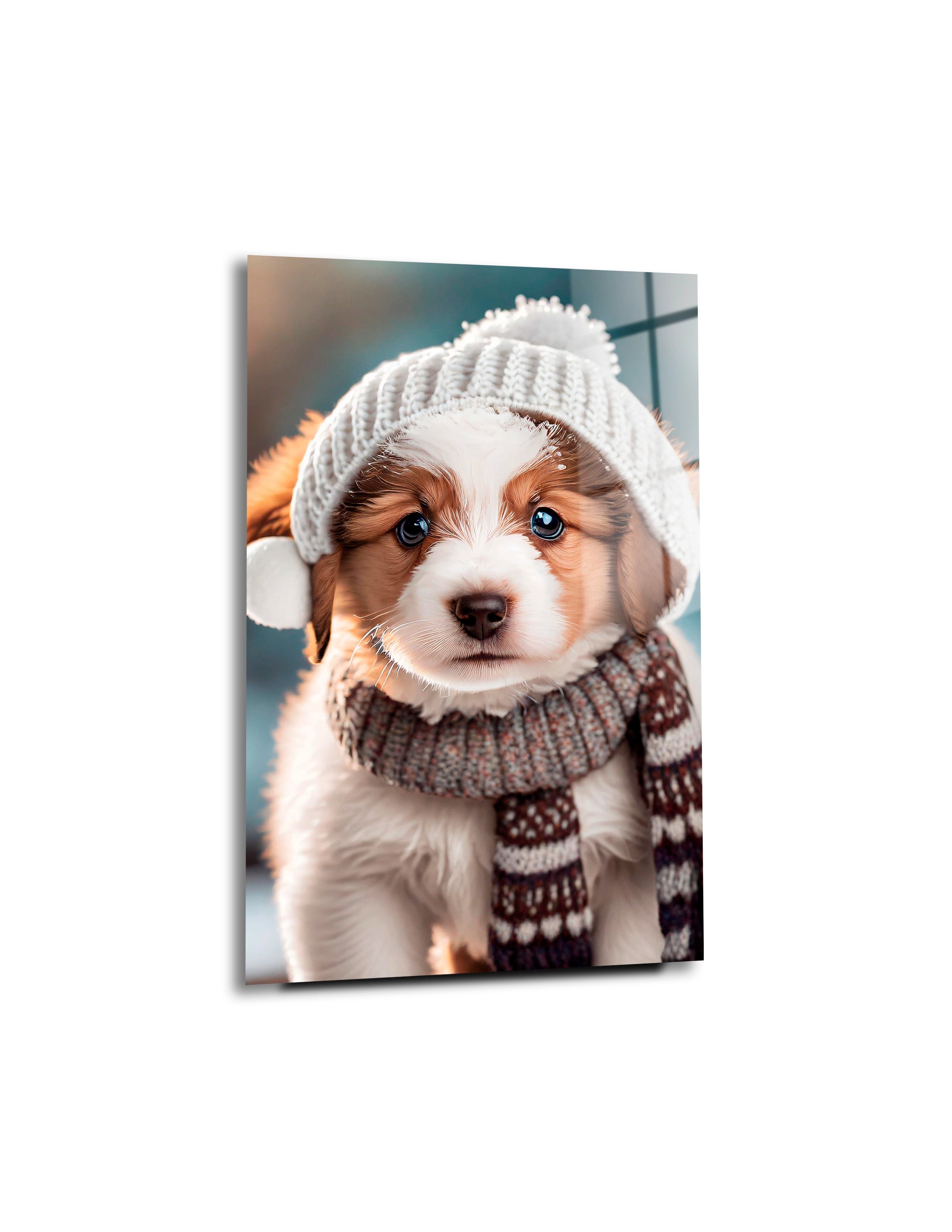 Cute Puppy Wearing a White Winter Hat, Sweater and Scarf